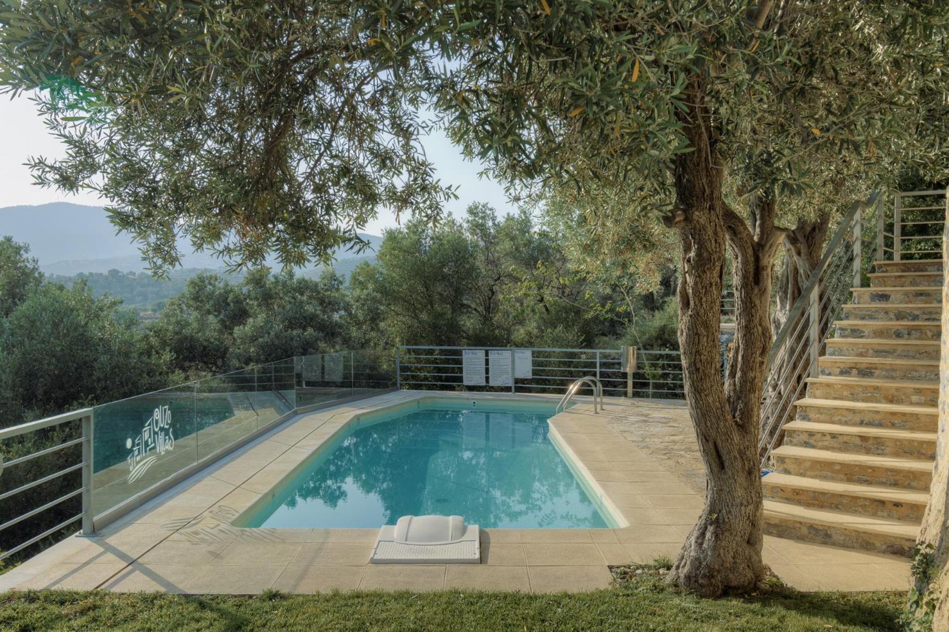 Ouzo Panoramic Houses 2, With Private Pool Plomari Rum bild